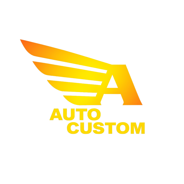 Auto Custom